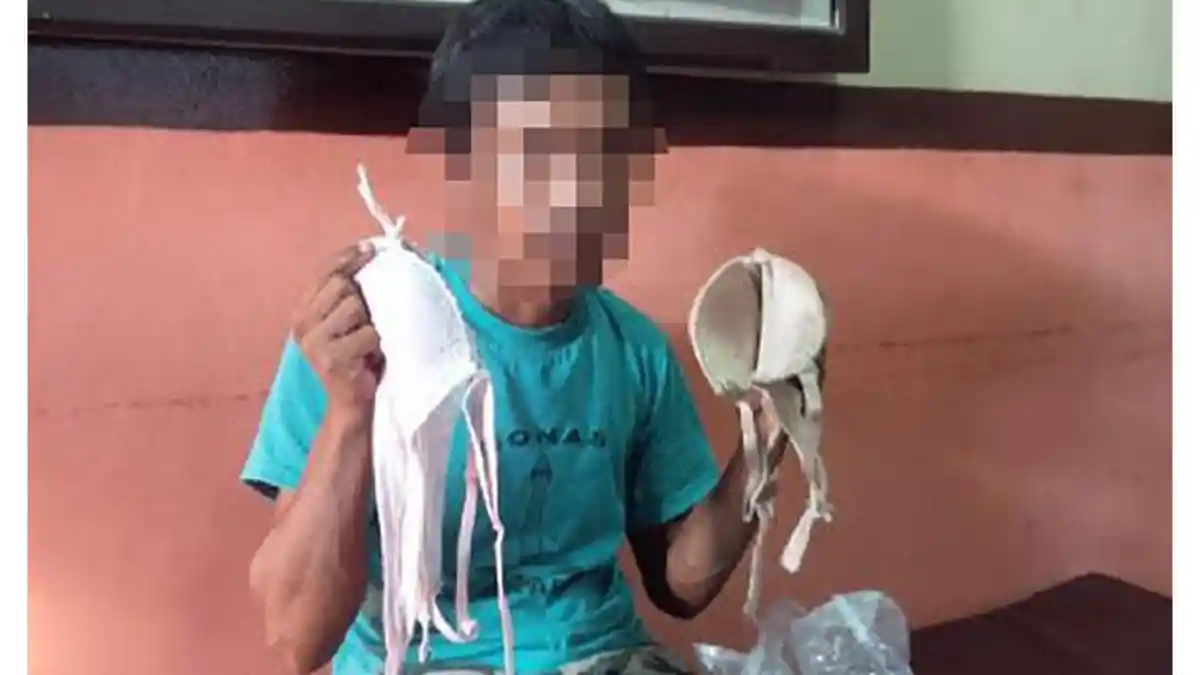 Alamak, Pria ini Mencuri Bra Hanya untuk Menghayal dan Dicium-cium saat Tidur