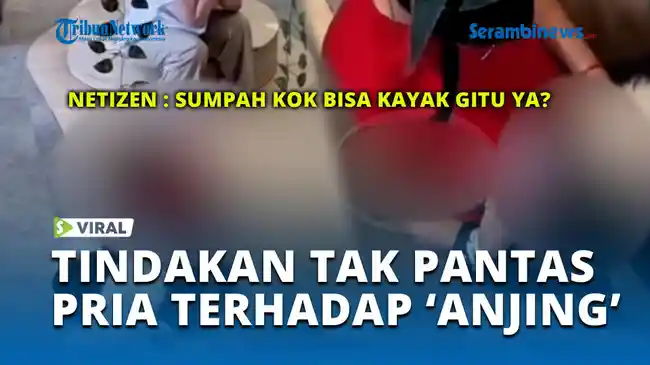 Tribun