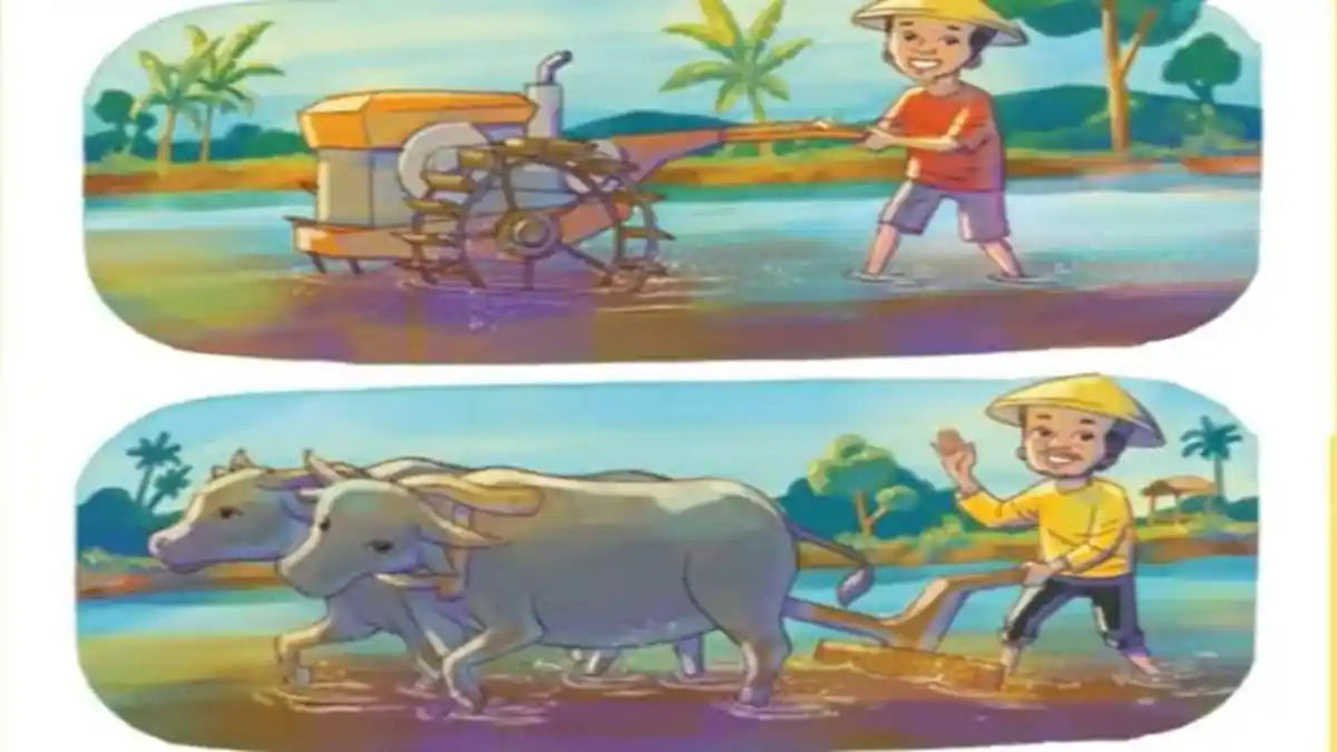 Kunci Jawaban Bahasa Indonesia Kelas 3 SD Halaman 87 Kurikulum Merdeka Berdiskusi Amati 2 Gambar Ini