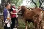 PASAR-HEWAN-Suasana-pemasangan-ear-tag-di-pasar-hewan-Balongpanggang-Gresik.jpg