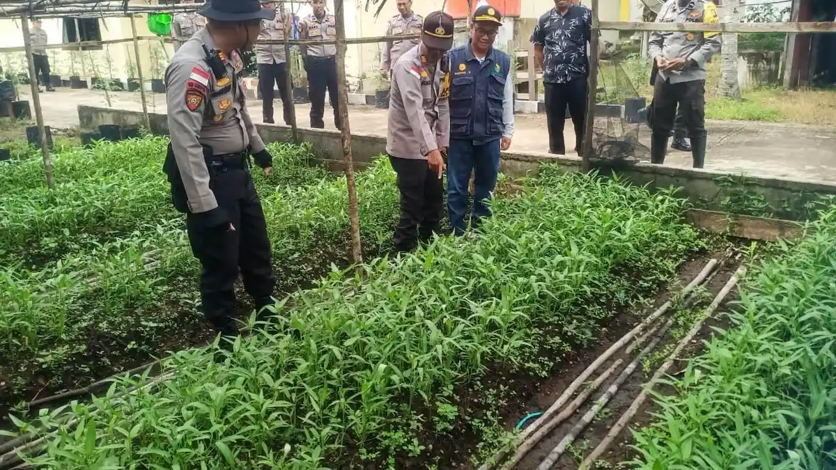Tim Supervisi Polres Sanggau Tinjau Program Ketahanan Pangan di Kecamatan Meliau