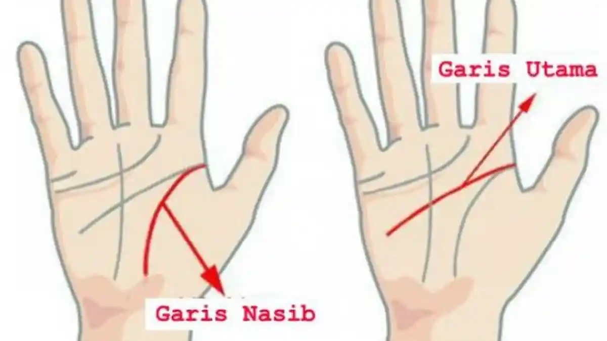 Membaca Garis Telapak Tangan, Bentuk M Langka, Ada yang Istimewa