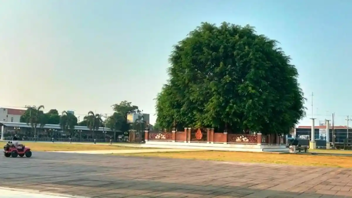Alun-alun Batang Dipercantik, Fokus Area Sekitar Pohon Beringin