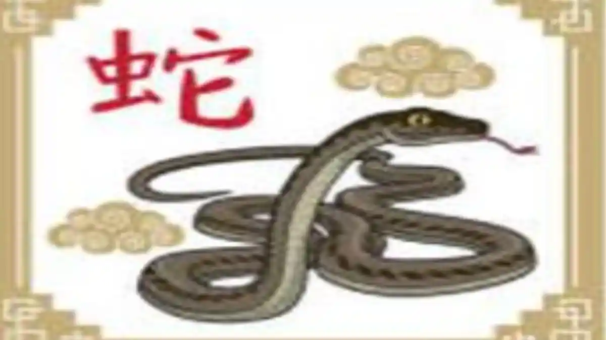 4 Shio Hoki Besok Rabu 20 Maret 2024: Shio Ular Kebutuhan untuk Perubahan