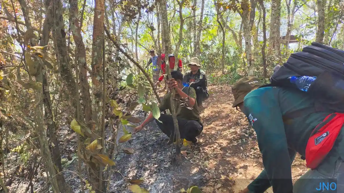 13 Hektar Hutan Lindung Terbakar di Kawasan Bukit Catu Buleleng