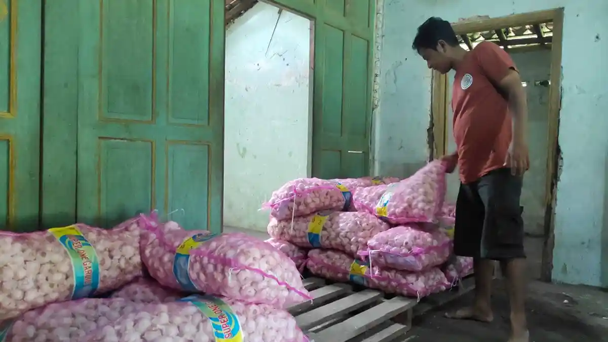 Stok Bawang Putih di Sleman Masih Aman hingga Maret 2020