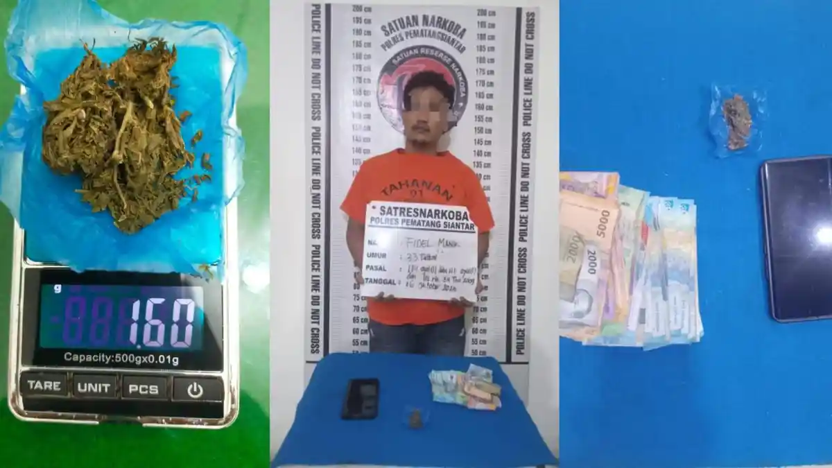 Komitmen Berantas Narkoba, Polres Pematangsiantar Tangkap Residivis Pemilik Ganja