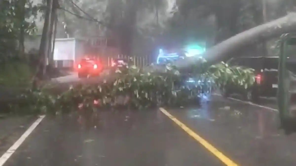 Cuaca Ekstrem, Jalur Karo-Medan Tertutup Pohon Tumbang Sejak Pagi