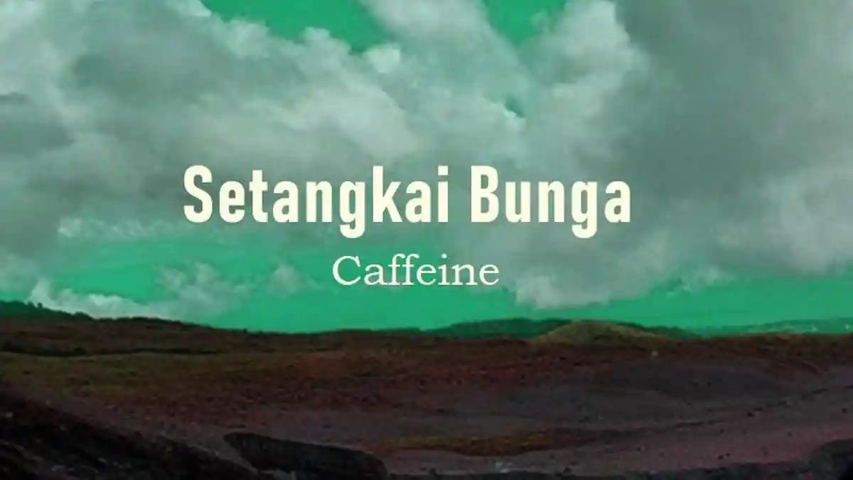 Lirik Lagu Setangkai Bunga - Caffeine, Jangan Jauh Dari Aku