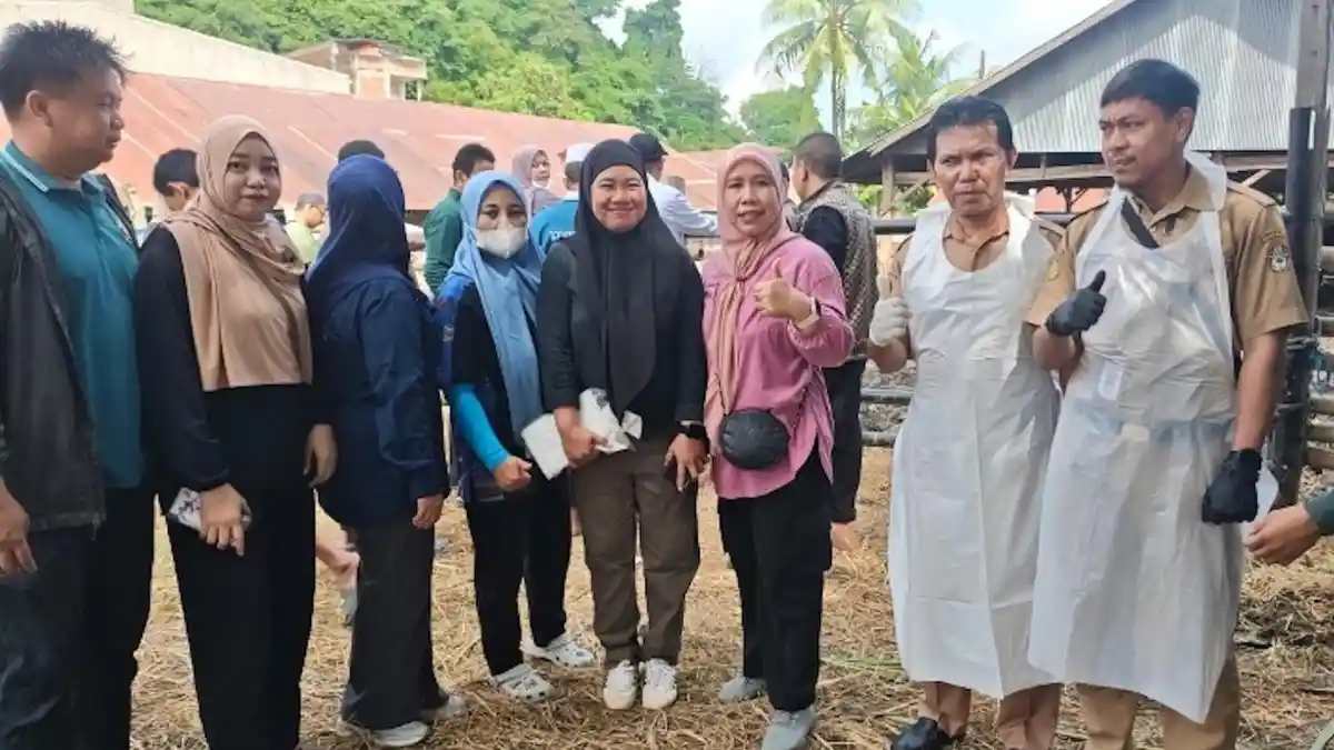 Hewan Kurban di Kecamatan Tempe Wajo Aman dari Penyakit Mulut dan Kuku