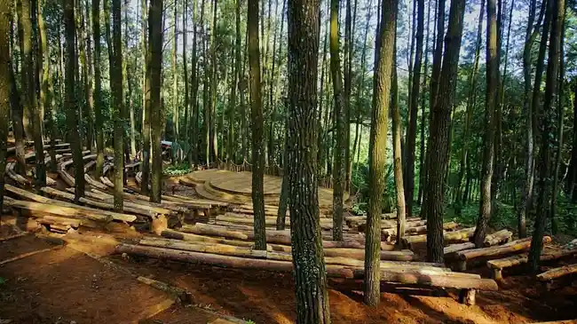 5 Wisata Hutan Pinus di Yogyakarta yang Punya Pemandangan Indah, Cocok untuk Referensi Liburan