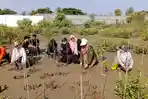Green Action Day CHEF-X, Aksi Nyata Mahasiswa Kimia USK Warnai Hari Bumi di Mangrove Park Lampulo