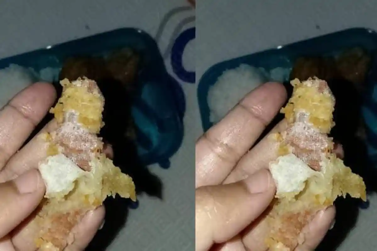 Tahu Goreng Program MBG Diduga Berisi Plester, Nyaris Dimakan Siswa