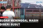 TERUNGKAP-Anak-Keluarga-Tewas-di-Kalideres-Beri-Susu-hingga-Sisiri-rambut-Ibu-Meski-Sudah-Meninggal.jpg
