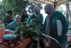 Kelompok Wanita Tani Kampung Mancing Panen Sayur Organik