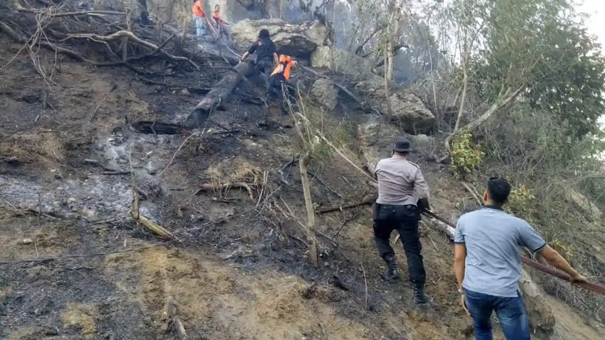 Lahan Seluas 3 Hektare di Desa Bambapuang Enrekang Terbakar