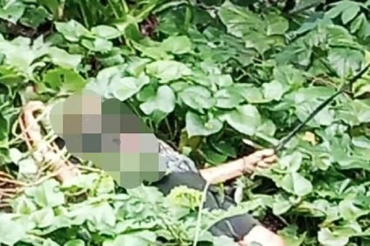 Pria Paruh Baya di Palesan Tana Toraja Tewas Tersengat Listrik