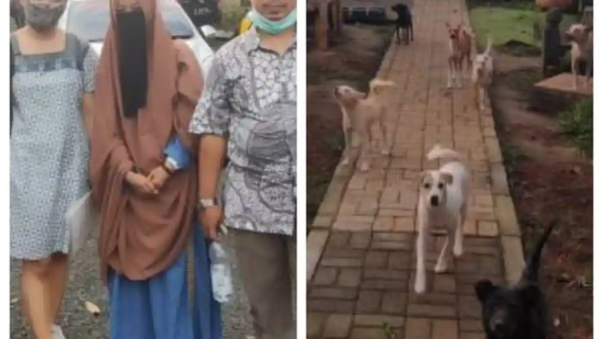 Cerita Hesti, Perempuan Bercadar Piara 70 Anjing Karena Kasihan, Diusir Ormas, Ngadu ke Hotman Paris