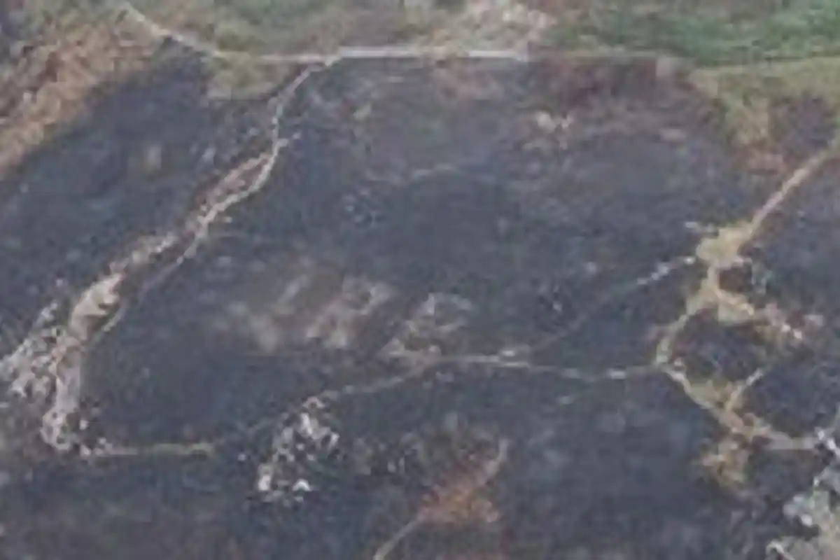 Pesan Tersembunyi di Masa Perang Dunia II Terungkap Setelah Kebakaran Hutan di Irlandia