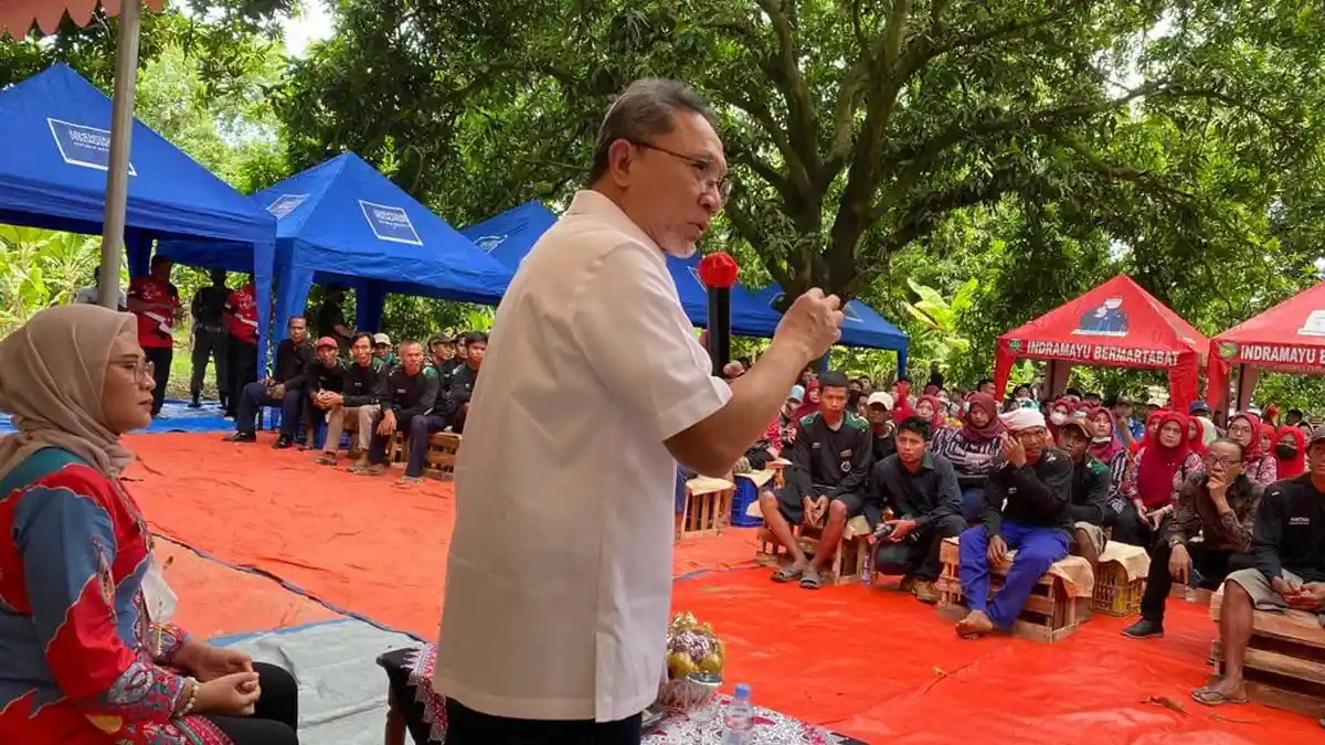 Lepas Ekspor Perdana, Menteri Zulkifli Hasan Borong 1 Ton Mangga Indramayu