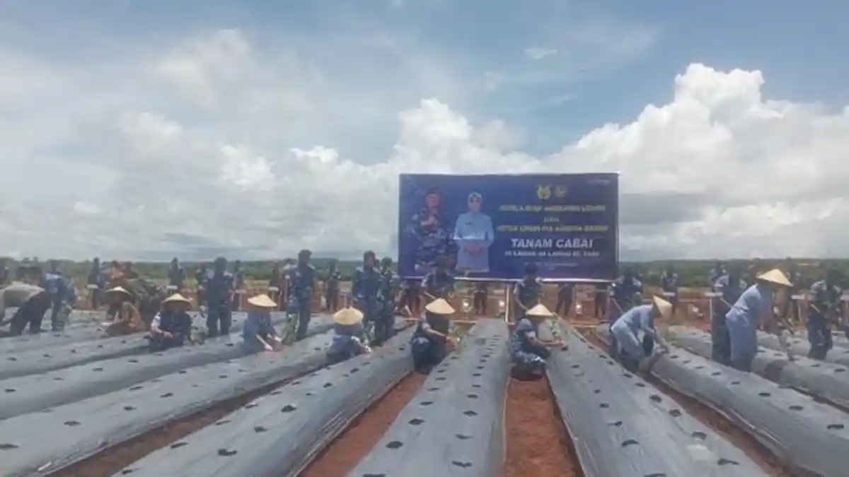KSAU Tonny Harjono Tinjau Program Ketahanan Pangan di Lanud El Tari