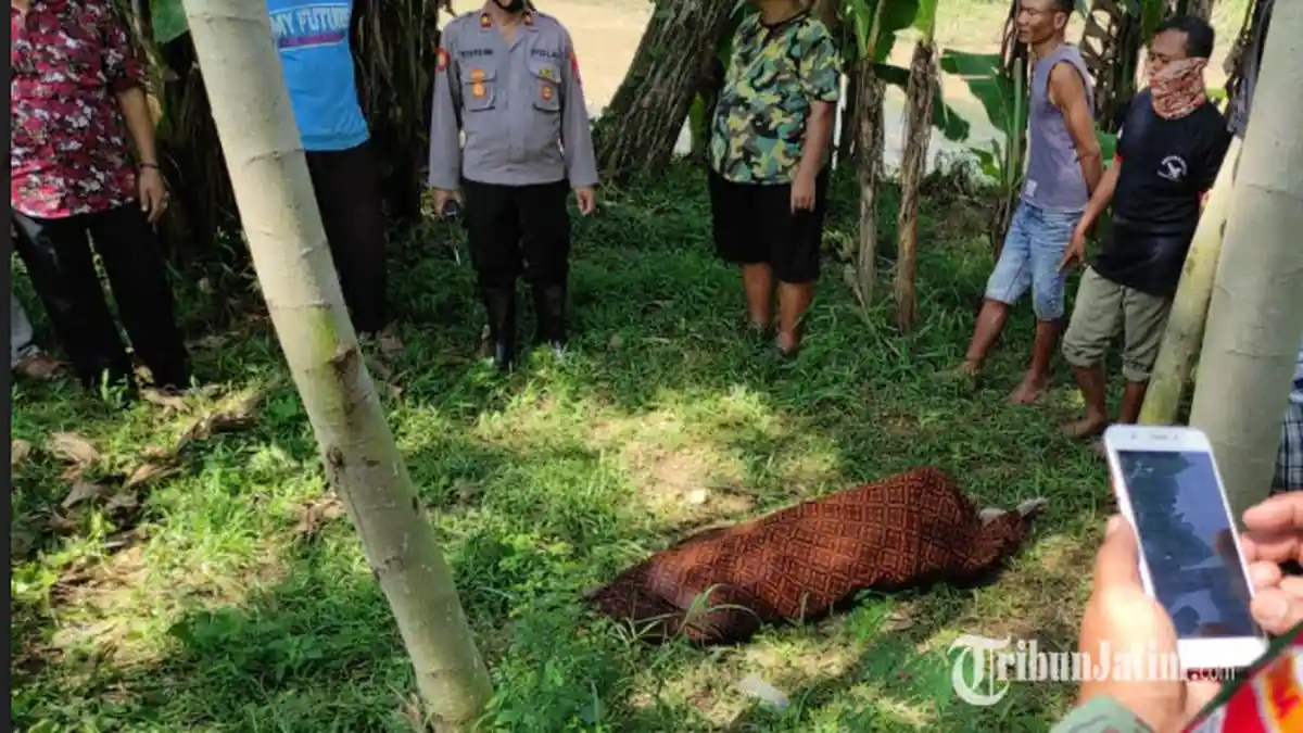 Seorang Kakek Pikun di Ponorogo Ditemukan Tak Bernyawa di Sungai, Polisi: Mungkin Terpeleset
