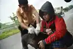 Suntik-Anjing-Vaksin-Rabies.jpg