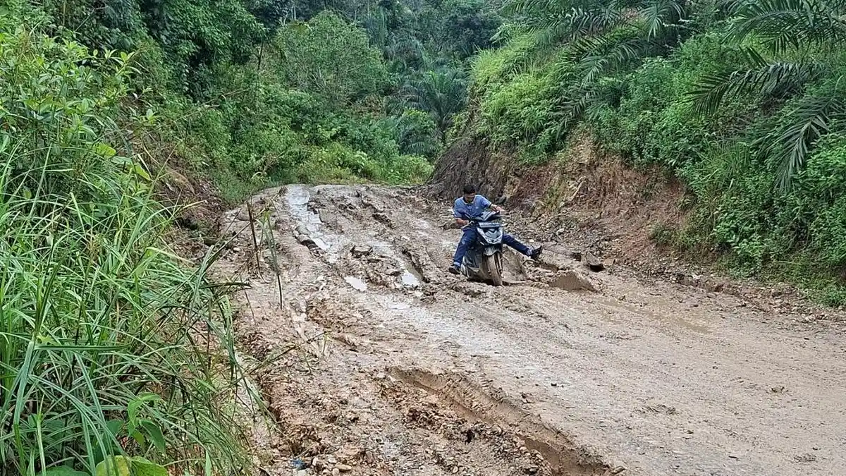 Bergelut dengan Lumpur, Warga Bertaruh Nyawa Keluarkan Hasil Panen Perkebunan