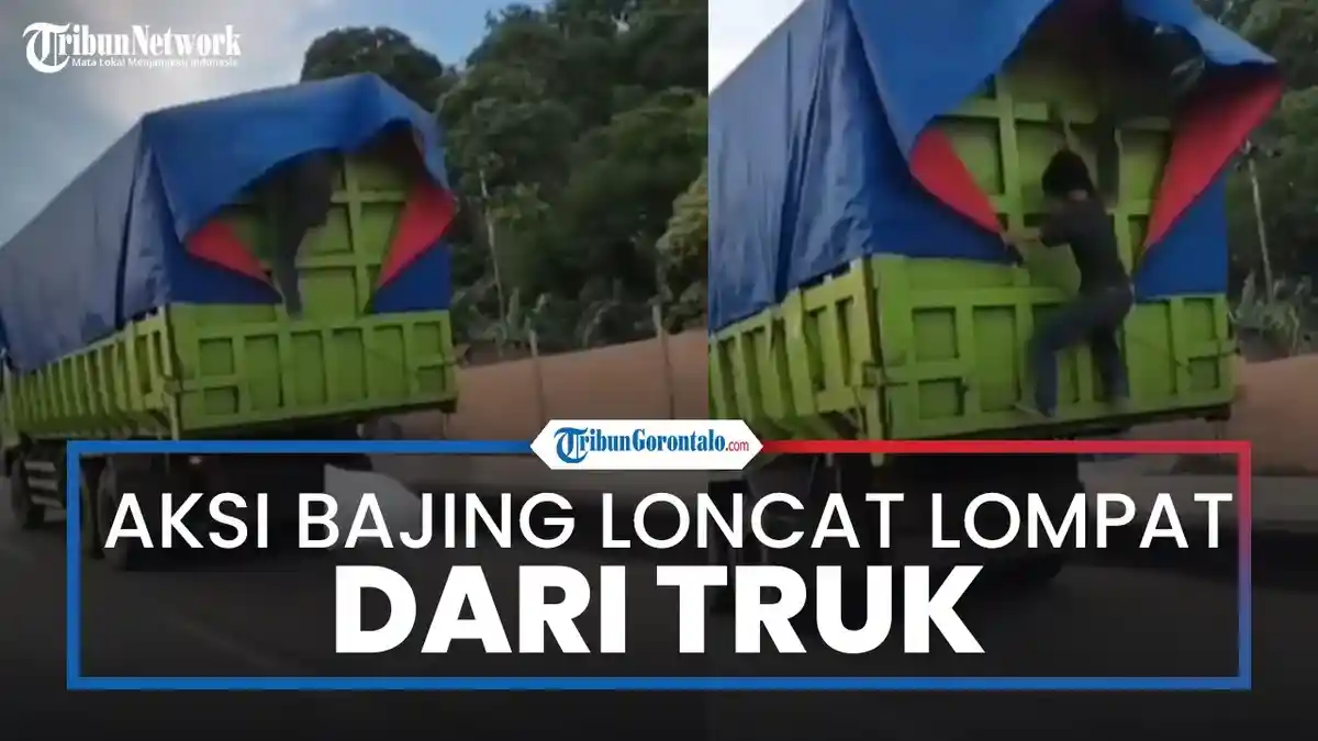 Viral di Medsos, Polres Belawan Ringkus Tersangka Bajing Loncat, Dua Masih Diburu