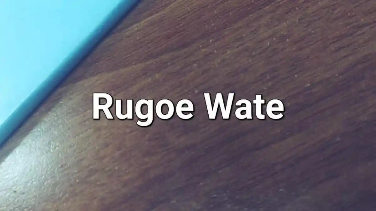 Lirik Lagu Rugoe Wate - Cut Rani