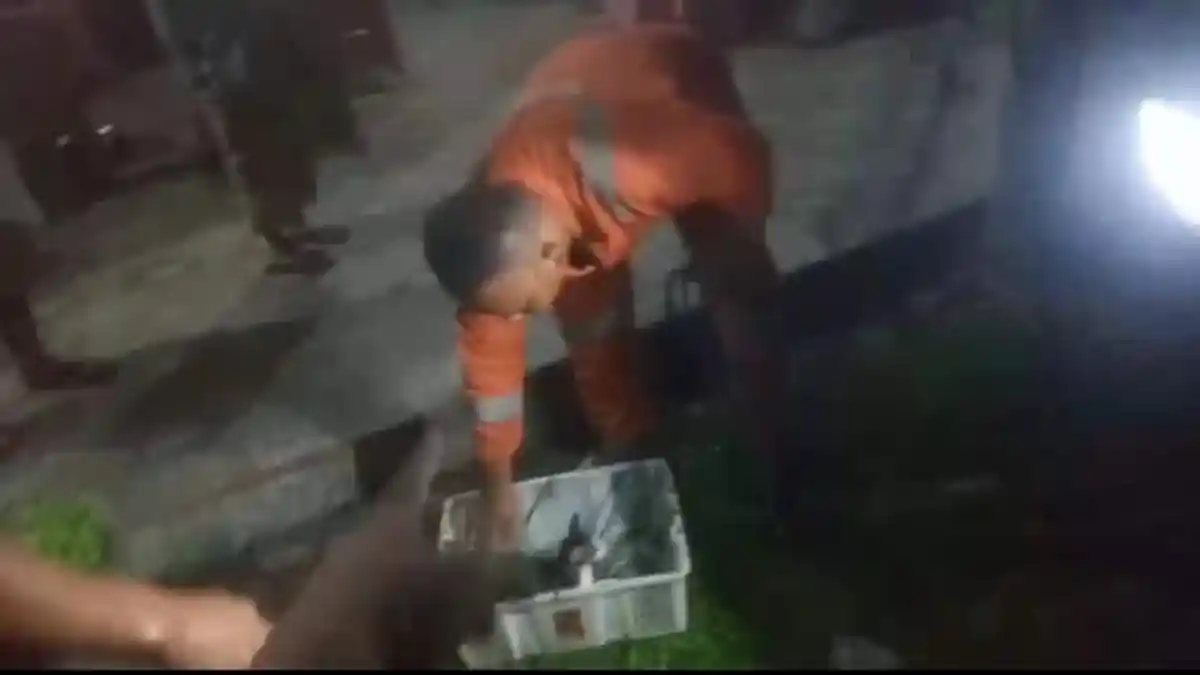 Damkar Tulangbawang Selamatkan Kucing yang Tercebur di Sumur Warga