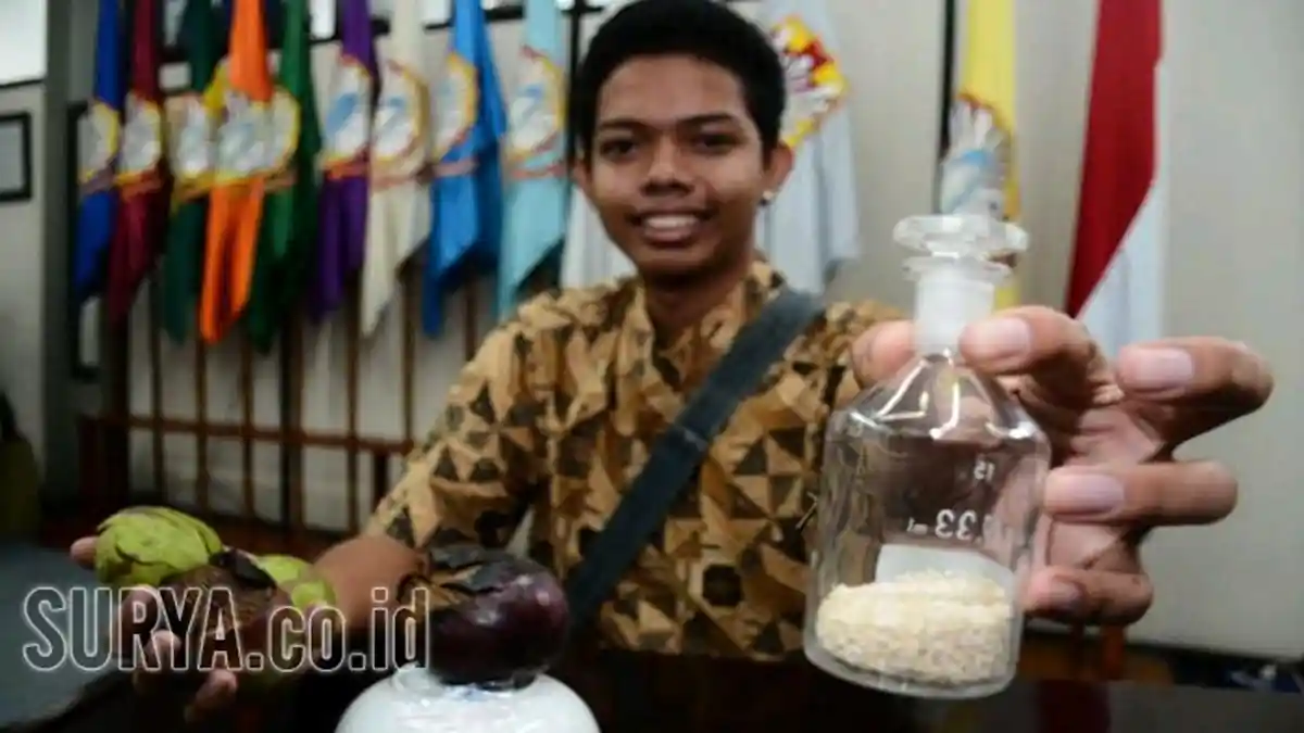 Berawal dari Penasaran, Mahasiswa Widya Mandala Ubah Buah Beracun Jadi Obat