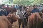 Aktivitas-jual-beli-sapi-dan-kambing.jpg