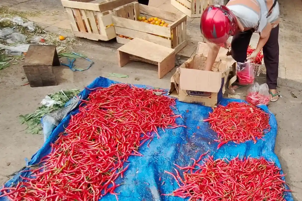 Jelang Idul Adha 2022 Harga Pangan Naik, Ikappi Ingatkan Percepatan Distribusi Hasil Tani