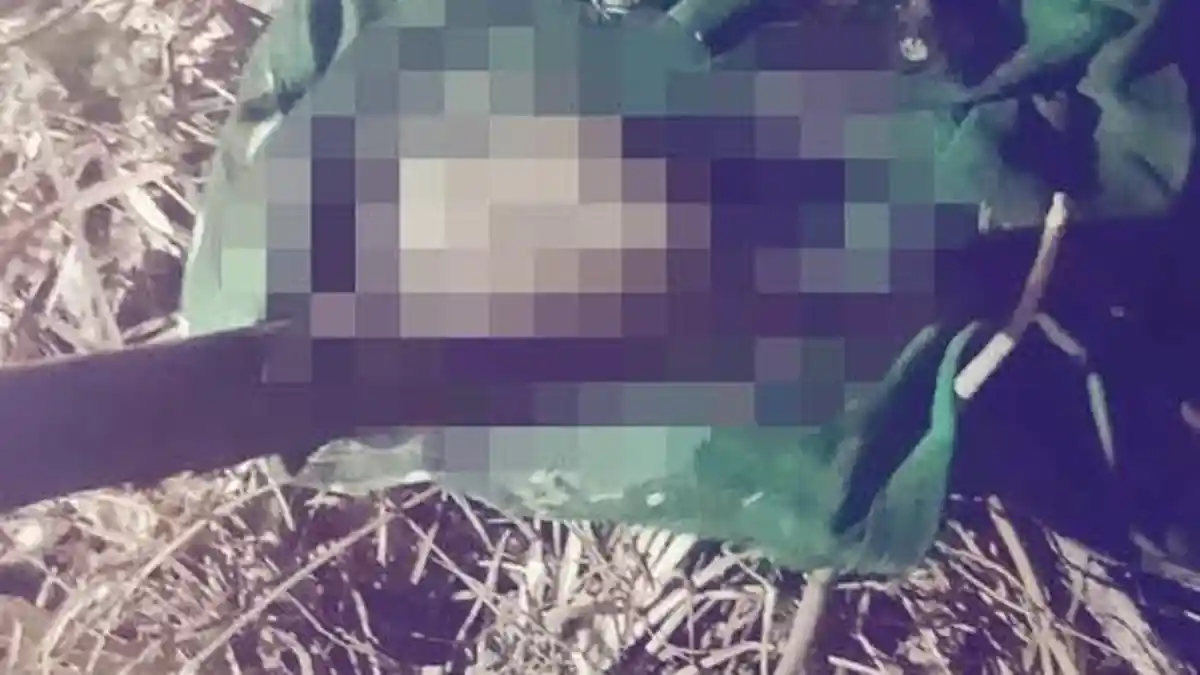 Polisi Selidiki Kasus Penemuan Mayat Bayi yang Terbungkus Kardus di TTU
