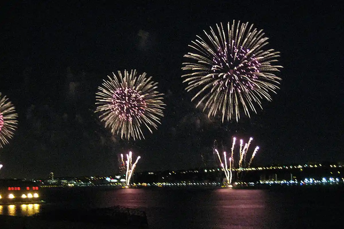 17 Macam Jenis Kembang Api dan Petasan, Biasa Memeriahkan Malam Tahun Baru