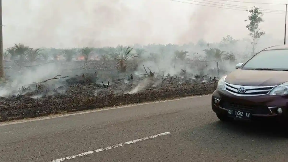 Laporkan Pelaku Pembakar Lahan! Ada Hadiah Uang Disiapkan Kapolres Bartim