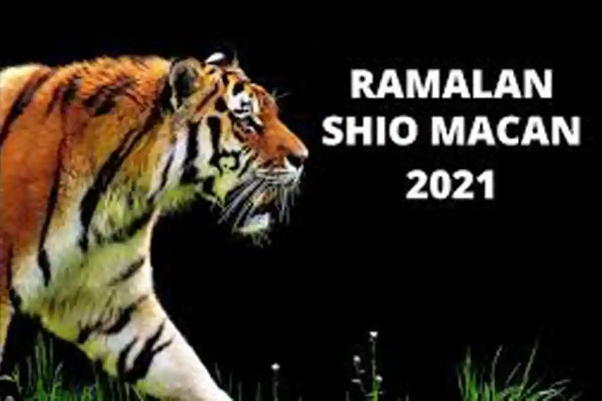 Ramalan Shio Macan 2021, Bagaimana Nasib Shio 2021 ? Cek Peruntungan Shio 2021