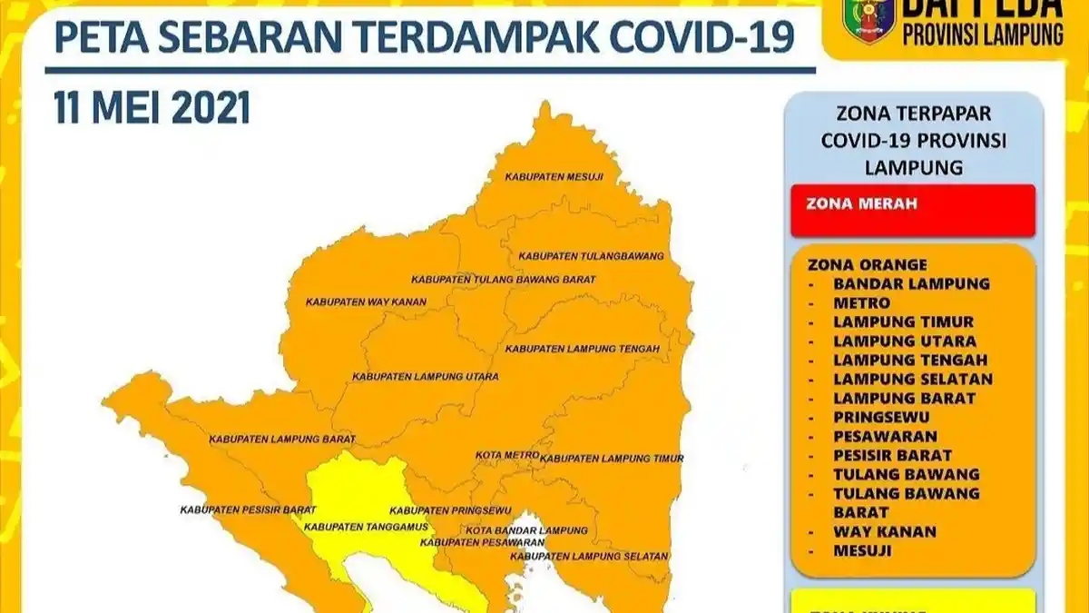 14 Kabupaten/Kota di Lampung Zona Oranye Penyebaran Covid-19