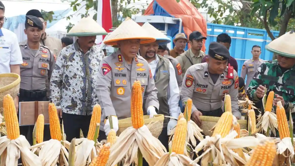 Polda Jabar Panen Raya Jagung Kuartal II 2026, Lepas 60 Ton ke Bulog