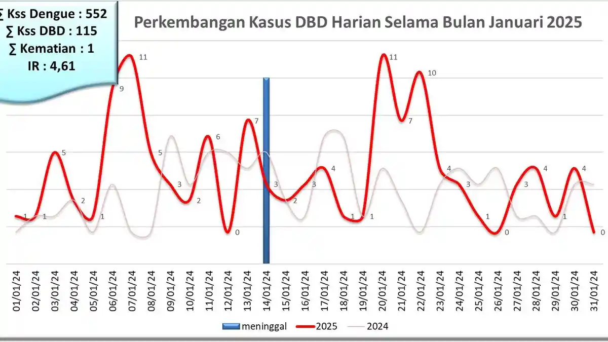 Januari 2025, Ada 115 Kasus Demam Berdarah Dengue di Kabupaten Jember
