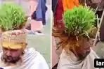 VIRAL-Pria-Ini-Tanam-Rumput-di-Kepala-Rambut-Jadi-Pupuk-Kulit-Kepala-Sampai-Berdarah-Karena-Akar.jpg