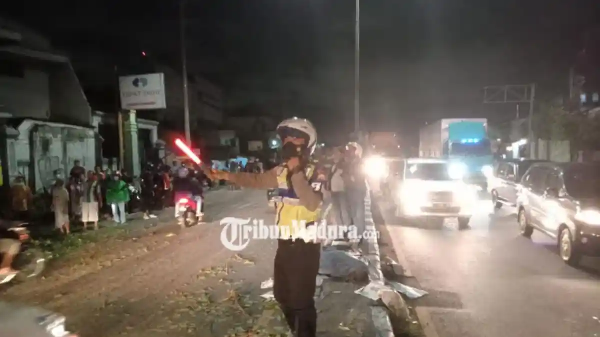 Seorang Pengendara Motor Tewas Tertimpa Pohon, 4 Orang Lainnya Luka-luka
