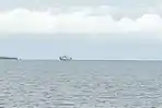 Nelayan Asal Sulsel Tewas Ditimpa Hiu yang Lompat ke Kapal di Selat Alas