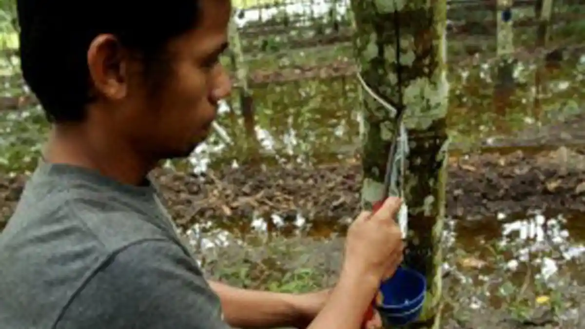 Rachmat Gobel Lobi Malaysia dan Thailand soal Harga Karet