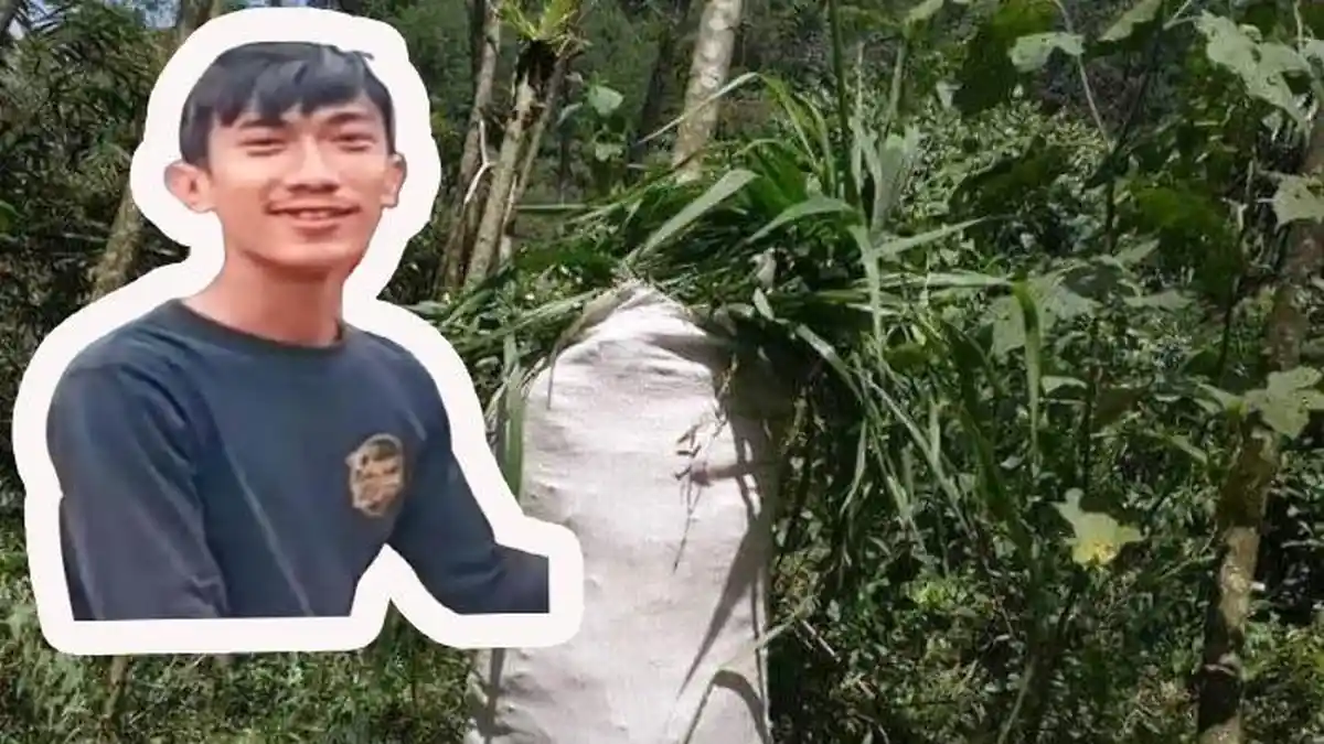 Kisah Pemuda Ngarit Bisa 8 Karung Sehari, di Jambi Banyak Rumput Liar untuk Pakan