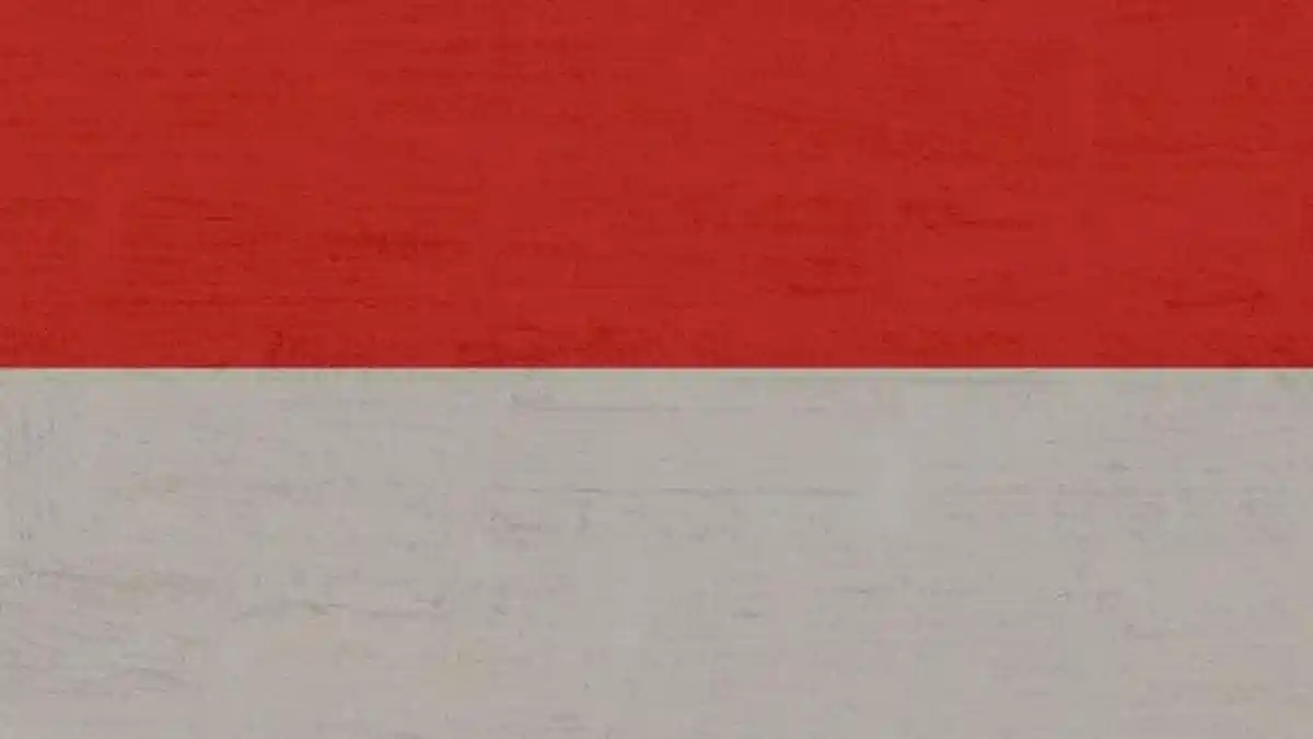 50 Soal AKGTK Kompetensi Profesional Guru PPKN, Pilihan Ganda Tahun 2024 Dilengkapi Kunci Jawaban