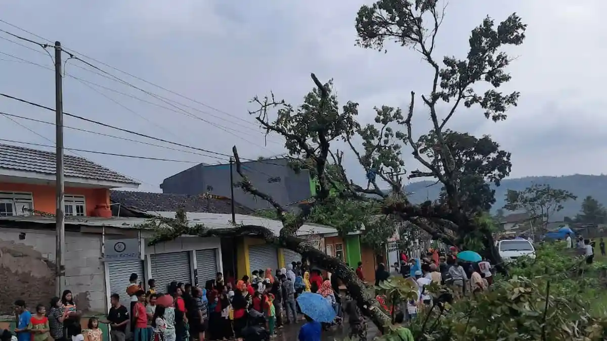 Angin Puting Beliung Rusak Puluhan Rumah dan Tumbangkan 7 Pohon Besar di Sukabumi