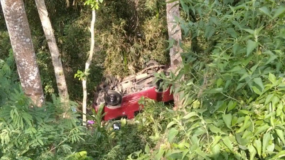 Kecelakaan Lalu Litnas Mobil Carry Terjun ke Jurang di Wonosobo, Begini Kondisi Ketiga Penumpang