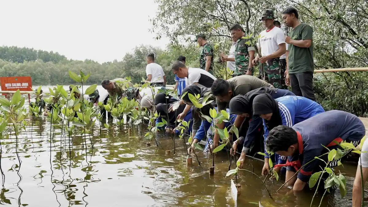 Kodam Jaya Latih Pelajar Lewat First Aid Squad dan Ajak Tanam Mangrove di Marunda